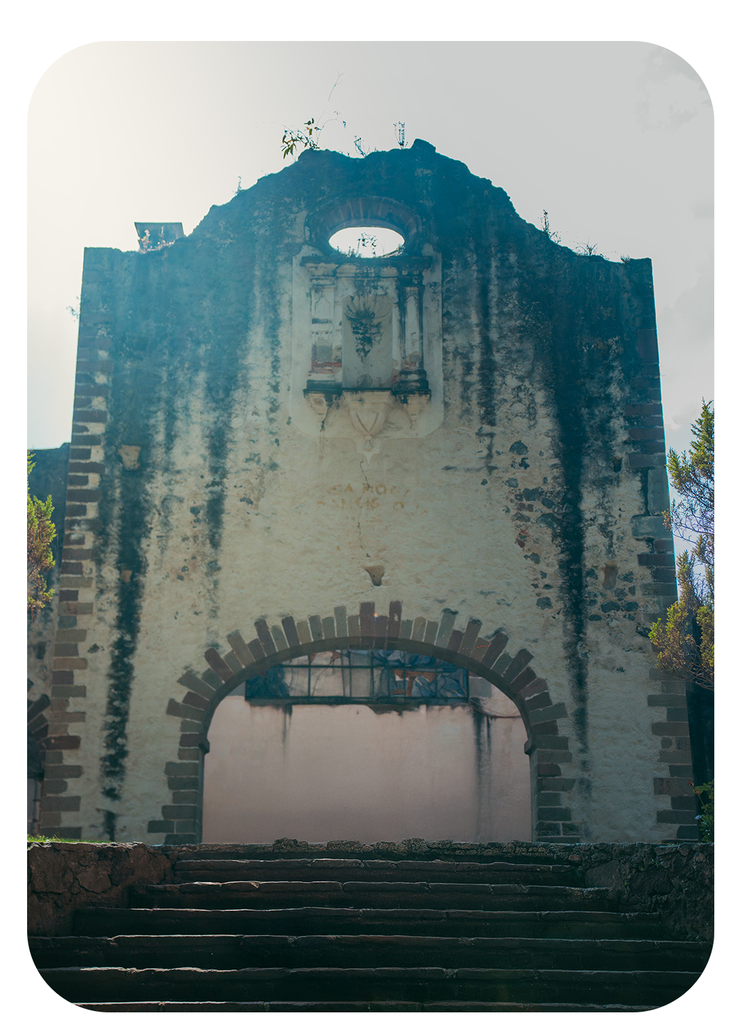 Fondo